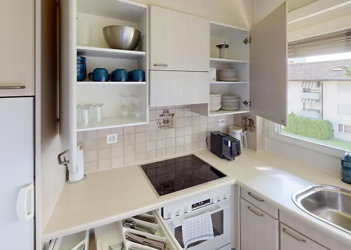 The Ideal Just What Need